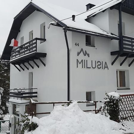 Milusia Muszyna Hotel Екстериор снимка